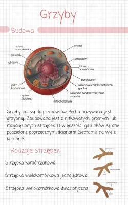 Budowa i znaczenie grzybów: Klasa 5