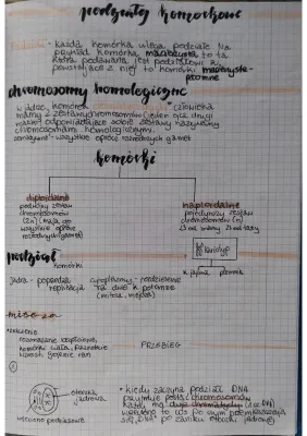 Podziały komórkowe - Mitoza i Mejoza, Różnice i Testy (1 Liceum)