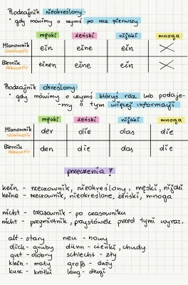 Rodzajnik nieokreślony i określony, przeczenia kein, nicht, przymiotniki po niemiecku 