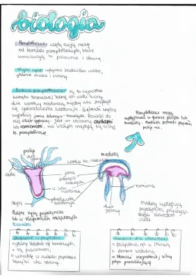 Parzydełkowce - Biologia Klasa 6, Dział 3