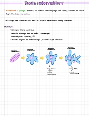 Teoria Endosymbiozy: Argumenty, Schematy i Funkcje Organelli