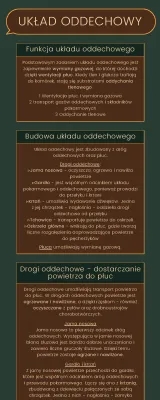 Budowa i funkcje układu oddechowego: wszystko, co musisz wiedzieć