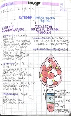 Blood Structure and Functions for 7th Grade - Easy Presentation