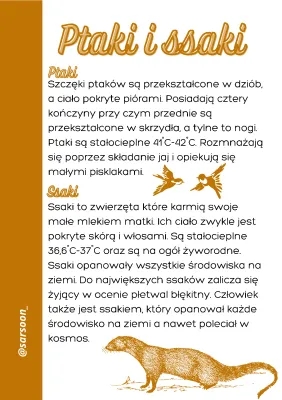 Czy ptaki to ssaki? Cechy ptaków i ssaków dla klasy 2