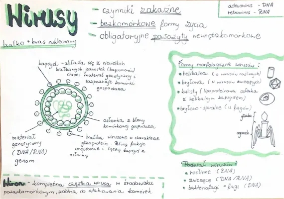 Wirusy Molekularne – Co Sie Dowiedzieliśmy w Notatce i Prezentacji Testowej