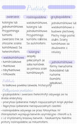 Różnorodność prokariontów, protistów, grzybów i porostów - notatka klasa 5