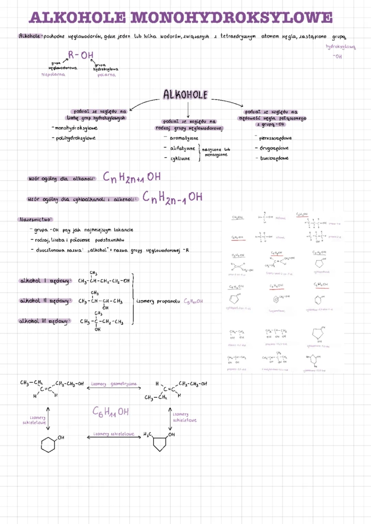 alkohole monohydroksylowe