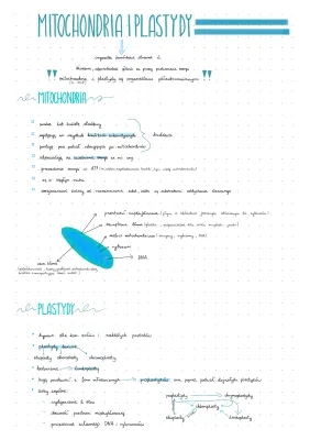 Mitochondrias y Plastidios: Teoría Endosimbiótica y Funciones