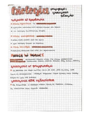 Przegląd i znaczenie płazów - Biologia klasa 6, notatka i test