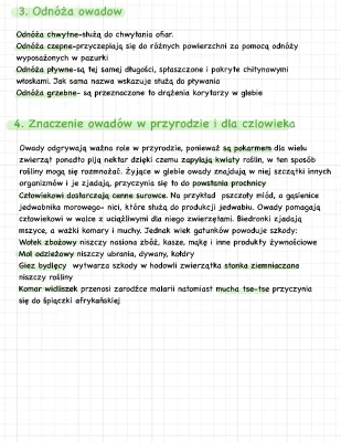 Znaczenie owadów w przyrodzie i dla człowieka - budowa, aparaty gębowe, odnóża