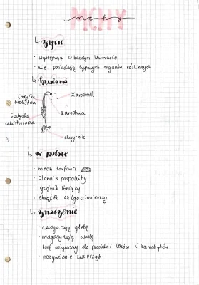 Kartkówka mchy i paprotniki klasa 5 Nowa Era | Test PDF | Biologia klasa 5