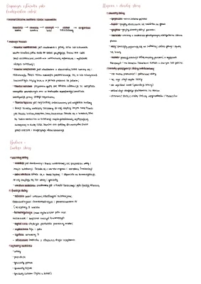 Biology Notes for 7th Grade - Human Systems and Skin Functions