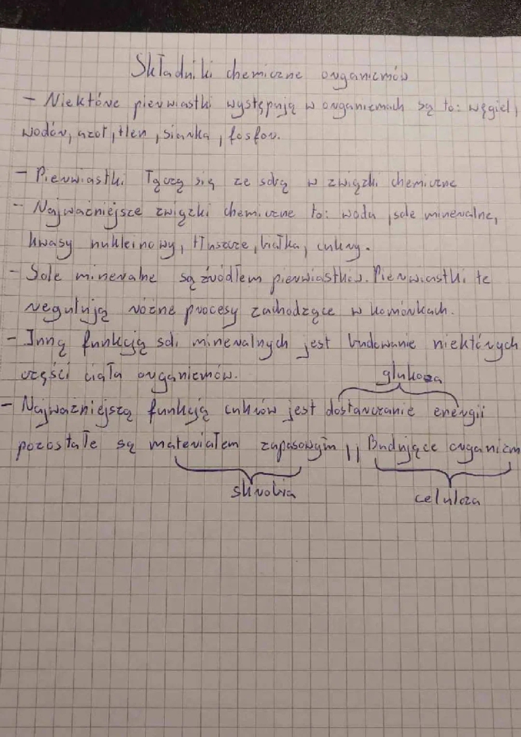 Skład chemiczny organizmów: cukry, tłuszcze, białka i sole - Biologia klasa 5