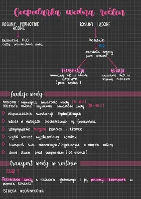 Gospodarka wodna roślin - Notatka i zadania maturalne