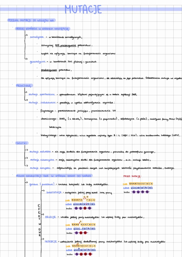 Mutacje Biologia: Rodzaje i Skutki Mutacji Genowych i Chromosomowych