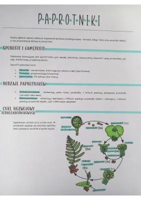 Cykl rozwojowy paproci i budowa paprotników - prosty przewodnik