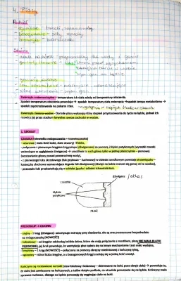 Płazy notatka klasa 6 - Jak oddychają, Gdzie żyją, Budowa i Rodzaje