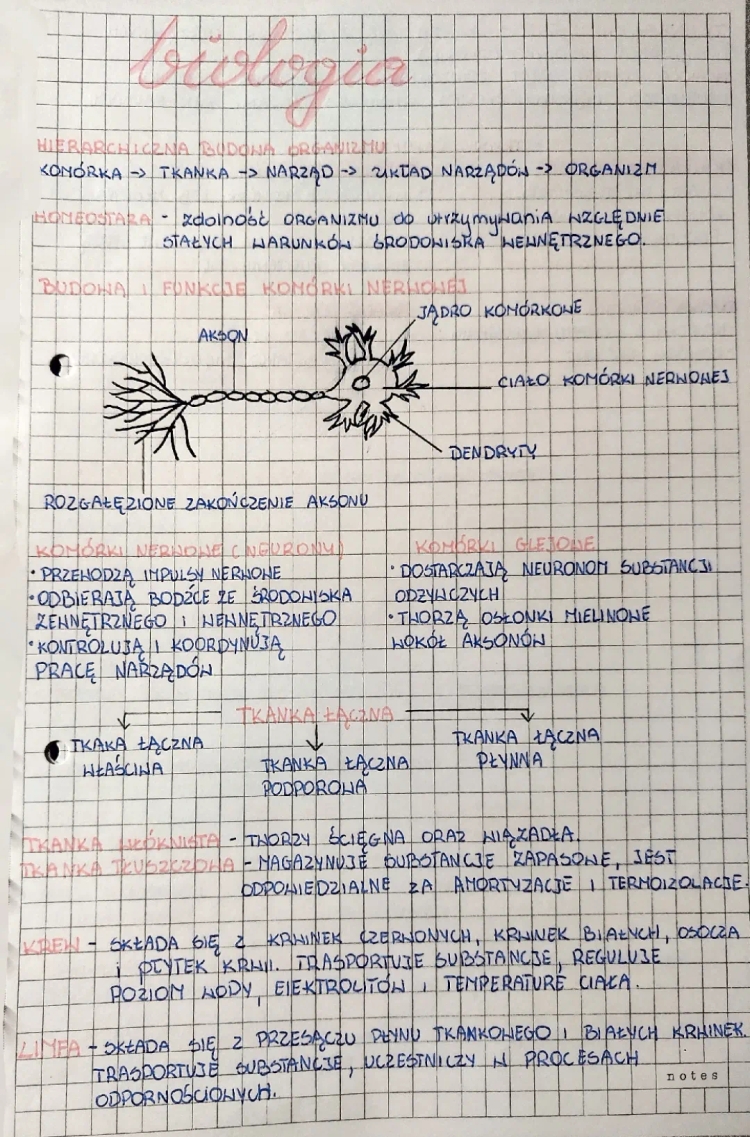 Hierarchiczna Budowa Organizmu Człowieka i Roślin - Notatka z Lekcji