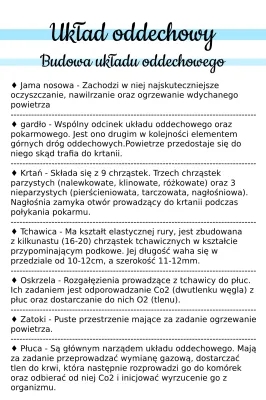 Układ Oddechowy: Budowa, Funkcje i Higiena - Notatka dla klasy 4