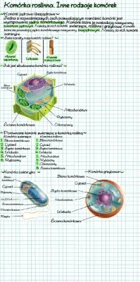 Biologia - Komórka roślinna. Inne komórki 