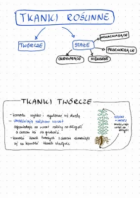 Tkanki roślinne - klasa 5 - kartkówka, Nowa Era, PDF