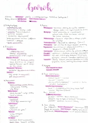 Barok Notatka für die Matura - PDF, Filozofia, Poezja
