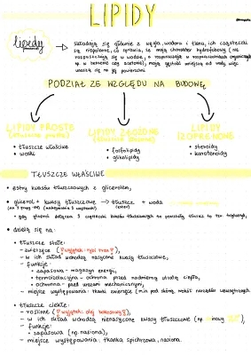 Lipidy: Proste i Złożone - Budowa, Funkcje i Podział