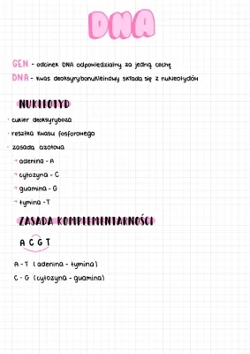 DNA and RNA: Structure, Functions, and Cool Facts!