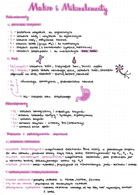 Makro i Mikroelementy: Pierwiastki Biogenne i Wiązania Chemiczne dla Dzieci
