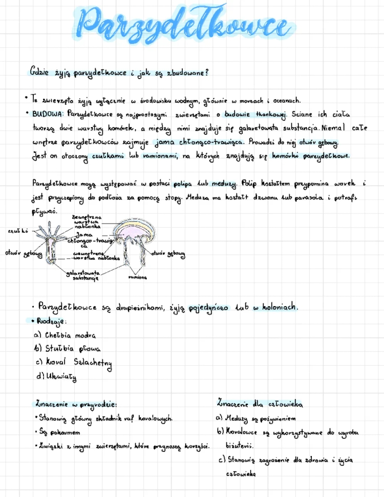 Parzydełkowce i Płazińce - Test z Biologii Klasa 6