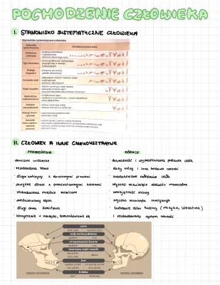 Ewolucja człowieka i mechanizmy - Biologia klasa 8