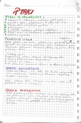 Ptaki - Biologia rozszerzona notatka i test dla dzieci