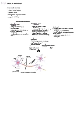 El Sistema Nervioso para Clases de Biología 7