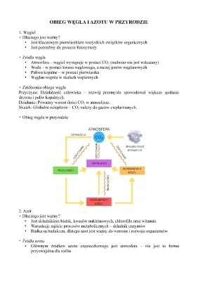 Obieg węgla i azotu w przyrodzie: schematy, prezentacje i zadania