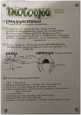 Od parzydełkowców do pierścienic