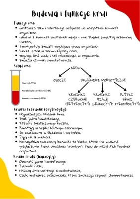 Budowa i funkcje krwi
