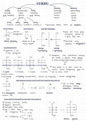 Chemistry: Sugars Class 8 - Notes and Structures