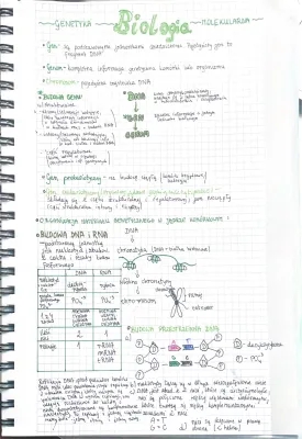 Genetyka Molekularna Podstawa: Budowa DNA, RNA i Geny - Sprawdzian 3 Liceum