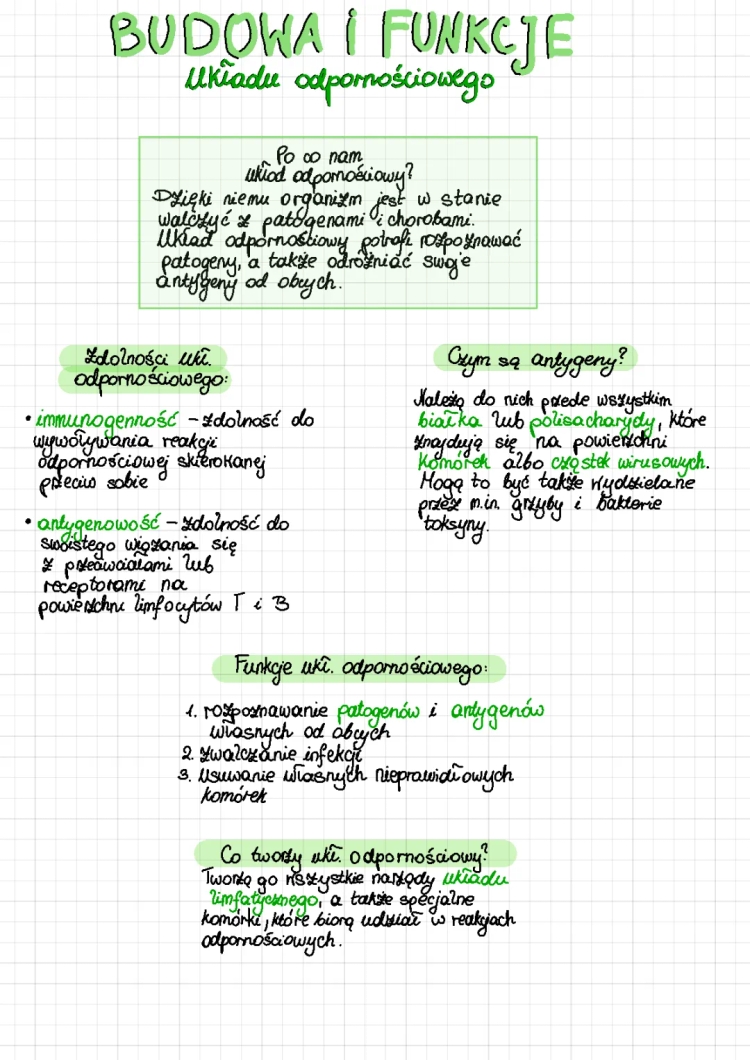 Układ immunologiczny - Biologia rozszerzona i proste notatki