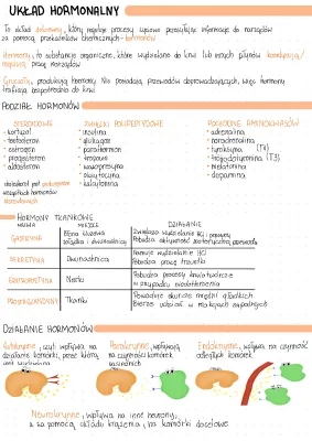 Układ hormonalny: Funkcje, Gruczoły, Notatki i Testy