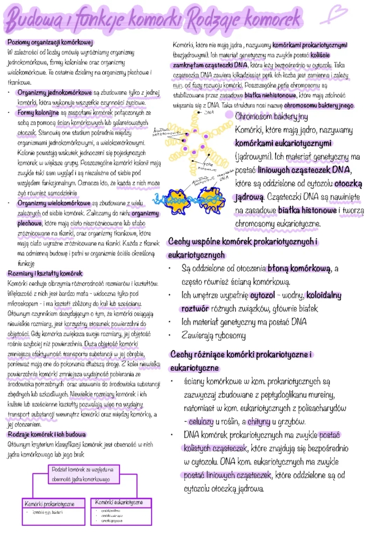 Komórka Biologia rozszerzona notatki 1 klasa: Budowa, funkcje, rodzaje i błony biologiczne