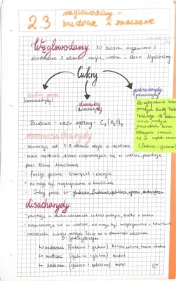 Budowa i podział węglowodanów - monosacharydy i polisacharydy