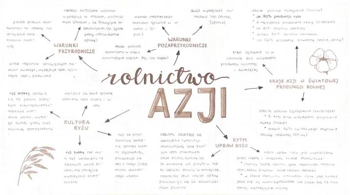 Rolnictwo Azji: warunki rozwoju, główne uprawy, notatka dla klasy 8