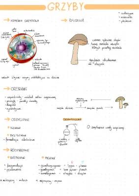 The Life Cycle of Fungi and the Importance of Mycorrhiza in Nature