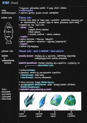 Budowa i Opis Ryb - Klasy 2, 3, 6