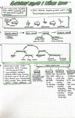 Rośliny lądowe i wtórnie wodne, notatka do matury 2023