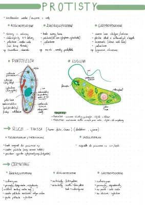 Discovering Protists: Asexual Reproduction and Their Wet Homes