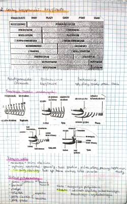 Cechy kręgowców - Biologia na czasie 2, zakres rozszerzony PDF