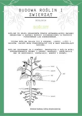 Rośliny okrytonasienne klasa 5 i 6: Budowa, Fotosynteza i Zwierzęta
