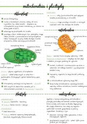 Co to jest chloroplast i teoria endosymbiozy?